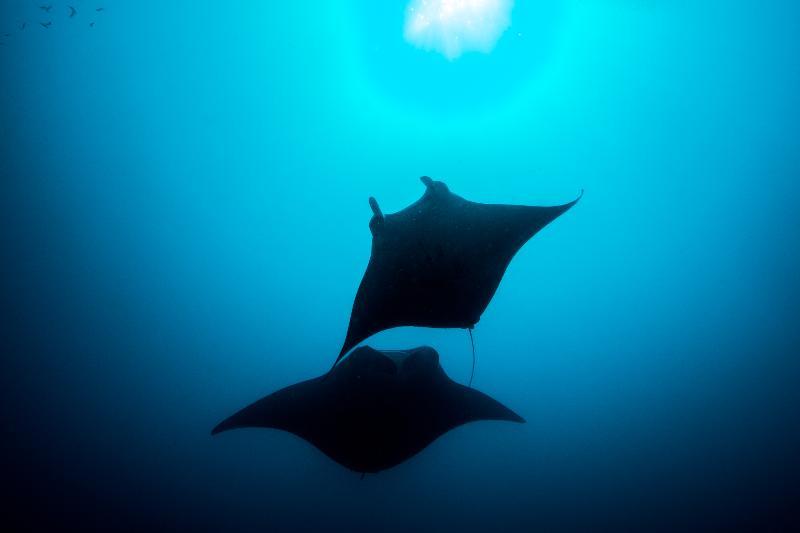 You And Me By Cocoon Maldives Muravandhoo 외부 사진